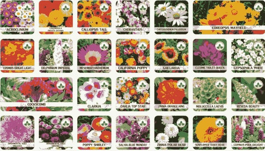 Buy Varieties of Flower Seeds (Pack of 100) And Get Plant Growth Supplement Free - Fleur O'essence