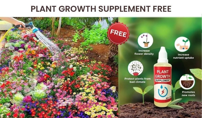 Buy Varieties of Flower Seeds (Pack of 100) And Get Plant Growth Supplement Free - Fleur O'essence