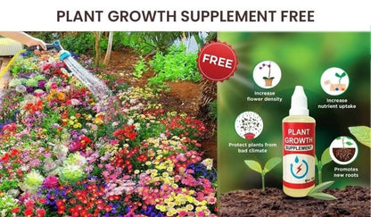 Buy Varieties of Flower Seeds (Pack of 100) And Get Plant Growth Supplement Free - Fleur O'essence